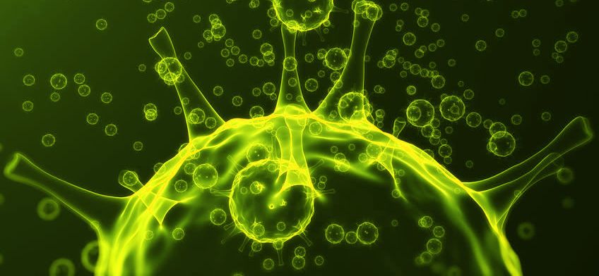 Mücbir Sebep Sorunsalına İlişkin
2020/5 Sayılı Cumhurbaşkanlığı Genelgesi ve Kamu İhalelerine Konu Özel Hukuk Sözleşmeleri ile İdari Faaliyetler Açısından COVID-19 Salgını Şartları Kapsamında Kısa Bir Değerlendirme