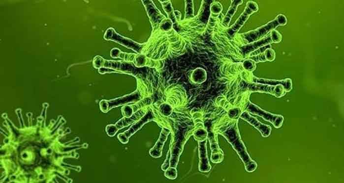 Koronavirüs Salgını Nedeniyle Hükümet Kararıyla Kapatılan İşyerlerinin Kira Sözleşmelerinin Akıbetinin Değerlendirilmesi