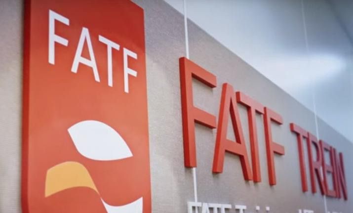 Mali Eylem Görev Gücü (Financial Action Task Force – FATF)’nün Değerlendirilmesi ve Türkiye’deki Yansımaları